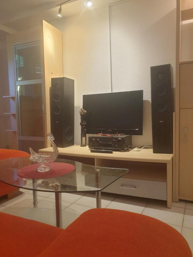 Sions Grosse Ferienwohnung Ferienwohnung Mit 3 Schlafzimmer, 2 Km Bis Zum Europapark Rust คัปเพล-กราเฟินเฮาเซน ภายนอก รูปภาพ